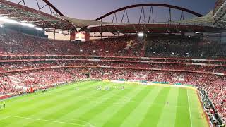 Tourada no estádio da Luz [upl. by Herries]