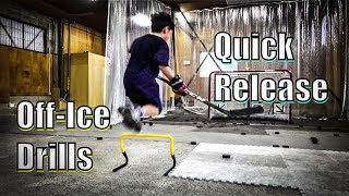 Quick Release OffIce Hockey Training Drills Novice [upl. by Wendell]