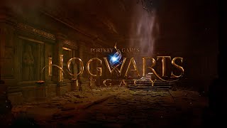 Hogwarts Legacy I ENCONTRE ROLANDO AOKE I MODO FRS 2 I PC RTX 3060hogwartslegacy VÍDEO SEM EDIÇÃO [upl. by Laurens]