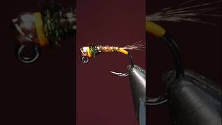 Top Stillwater Fly Patterns  Hotspot Pheasant Tail troutfly mayfly flyfishing flyfishinglife [upl. by Wallack]