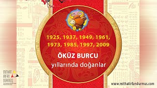 Çin Astrolojisi Burçlar  2  Öküz Burcu [upl. by Diao]