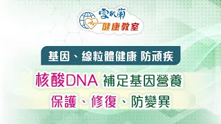 基因、線粒體健康 防頑疾！張仁傑博士：補足「核酸DNA」基因營養 保護、修復、防細胞變異 [upl. by Bettine]