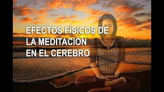 Efectos físicos de la meditación en nuestro cerebro [upl. by Eneles]