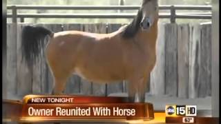 Valley woman reunited with lost horse [upl. by Siramed]