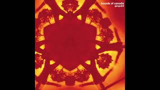 Geogaddi 1969 Boards Of Canada [upl. by Konopka]