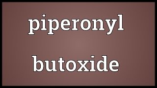 Piperonyl butoxide Meaning [upl. by Anilys834]