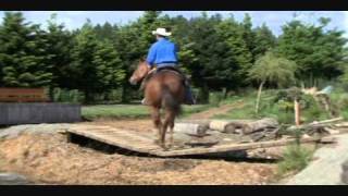 Extreme Trail Champion Mark Bolender Amazing Horse Training Showcase [upl. by Cartie]