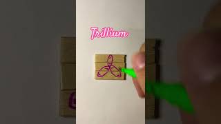 Trillium kryptontesla howtodraw drawingtutorials viralvideoshorts flowers [upl. by Corkhill]