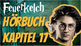 Harry Potter und der Feuerkelch Hörbuch Kapitel 17 Hörspiel Erwachsene Hörbuch Hörspiel [upl. by Olney]