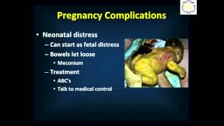 MD311 OBGYN Emergencies [upl. by Talbot]