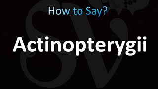 How to Pronounce Actinopterygii Correctly [upl. by Goerke]