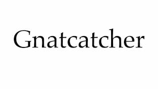 How to Pronounce Gnatcatcher [upl. by Ecinev]