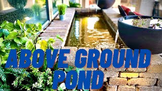 Above Ground FORMAL Patio Pond [upl. by Cirtap290]