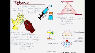 Tetanus Clostridium tetani  Microbio Symptoms Diagnosis Treatment Prevention etc [upl. by Arotahs787]