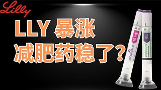 2024Q2礼来LLY财报深入分析，股价暴涨10，新药Mounjaro和Zepbound带动营收猛增，礼来的减肥药正式启航？ [upl. by Jarin]