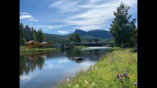 Ørretfiske i Hallingdalselva [upl. by Jorey765]