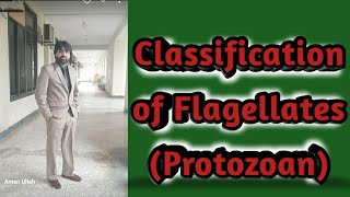 Lec2 Classification of Flagellates Protozoan  Hemofalgellates  Intestinal falgellate urduHindi [upl. by Santa]