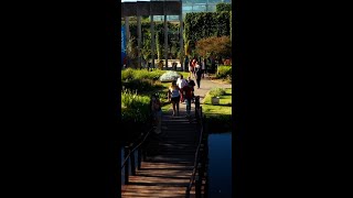 🤔 ¿Conocés el Jardín Botánico [upl. by Alhan]