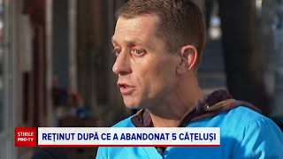 Bărbatul din Buzău care a abandonat 5 pui de câine în frig riscă până la 7 ani de închisoare [upl. by Jurgen]