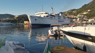 Traghetti e Aliscafi a Ischia Porto Timelaps [upl. by Mendoza]