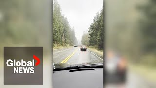 Woman comes facetoface with tornado during BC windstorm quotI have to turn aroundquot [upl. by Sharos]