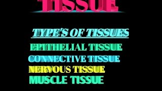 FOUR DIFFERENTS TYPES OF TISSUE  ANIMATION  HD [upl. by Auoz808]