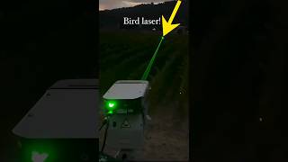 Automated Laser Bird Deterrent [upl. by Ahsimaj254]