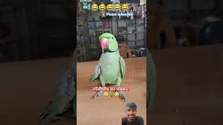 comedy funny parrot pets birds viralshort comedyshorts talkingparrot funnyanimal 😂😂 [upl. by Ayikin]