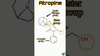 Atropine  Structure  Synthesis  SAR  IUPAC name atropine medicinalchemistry chemistry gpat [upl. by Katrine811]