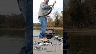 Explosive TOPWATER bite on KY LAKE bassfishing smallmouthbass 6thsensefishing fishingvideo [upl. by Ruffin]