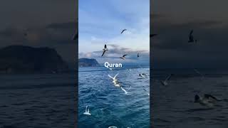 Al Quran Surah Kaahaf Aayat 27  28 Urdu Translation urdu quran islam motivation shorts [upl. by Letsirk312]