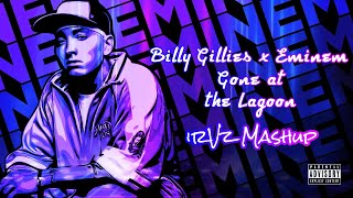 Billy Gillies x Eminem  Gone at the Lagoon irVz Mashup [upl. by Goddord]