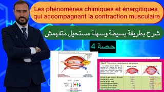 les phénomènes énergitiques et chimiques accompagnat la contraction musculaire [upl. by Cherey]