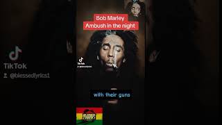 Bob Marley Ambush in the night reggaemusic music [upl. by Aetnuahs]