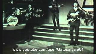 Los Shakers TV Clip 1966 Argentina  Rara edicion de epoca [upl. by Baten490]