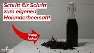 Holunderbeersaft selber herstellen  Schritt für Schritt erklärt  So einfach und lecker [upl. by Neirrad]