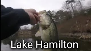 Lake Hamilton bass fishing [upl. by Burtie]