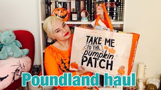 Poundland haul October 2024 [upl. by Jewell]