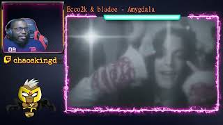 Ecco2k amp bladee  Amygdala Reaction [upl. by Ahsas]