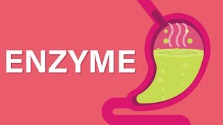 What are Enzymes [upl. by Drooff]