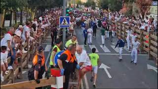 Tercer Encierro Fiestas de Tudela 2024 [upl. by Ydnac]