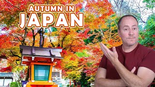 Fall in Japan Travel Photography Vlog [upl. by Ahsen770]