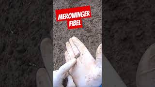 Merowinger Fibel metaldetecting treasurehunting sondeln merovingian fibula [upl. by Esyle]