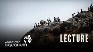 Introduction To Marine Life Course Seabirds [upl. by Novelc]