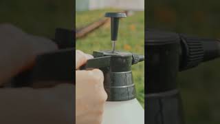 Create Your Own DIY EcoFriendly Weed Killer 🌱🌿 DIYweedkiller ecofriendly gardening weedcontrol [upl. by Leod]