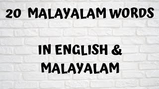 20 WORDS IN MALAYALAM ampENGLISHENGLISH MALAYALAM DICTIONARYLEARN MALAYALAM [upl. by Pietro]