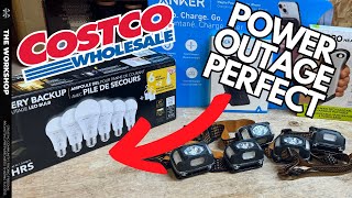 Is There A LIGHTBULB With A Battery  What To Get At Costco For A Power Putage [upl. by Lucais]