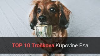 🐕 Kupovina Pasa – Top 10 Najosnovnijih Troškova Kupovine I Posjedovanja Psa [upl. by Eldnik]