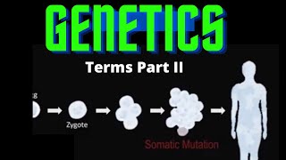 USMLE Step 1  Lesson 32  Genetic terms Part II [upl. by Jolyn]