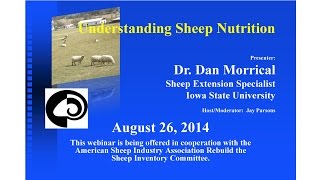 Sheep Nutrition 9 [upl. by Hannaj]